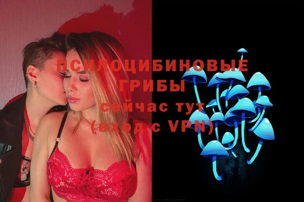 круглые Гусь-Хрустальный