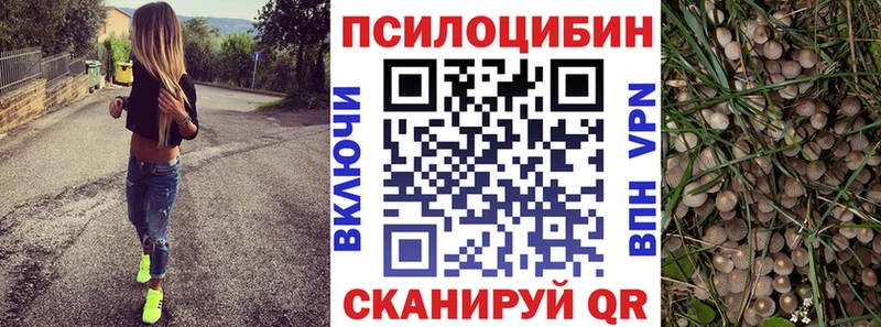 Купить где  Котлас  Галлюциногенные грибы мухоморы 